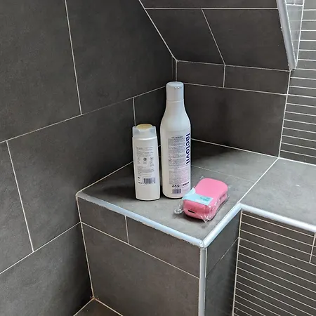 Appartement Nuevo En